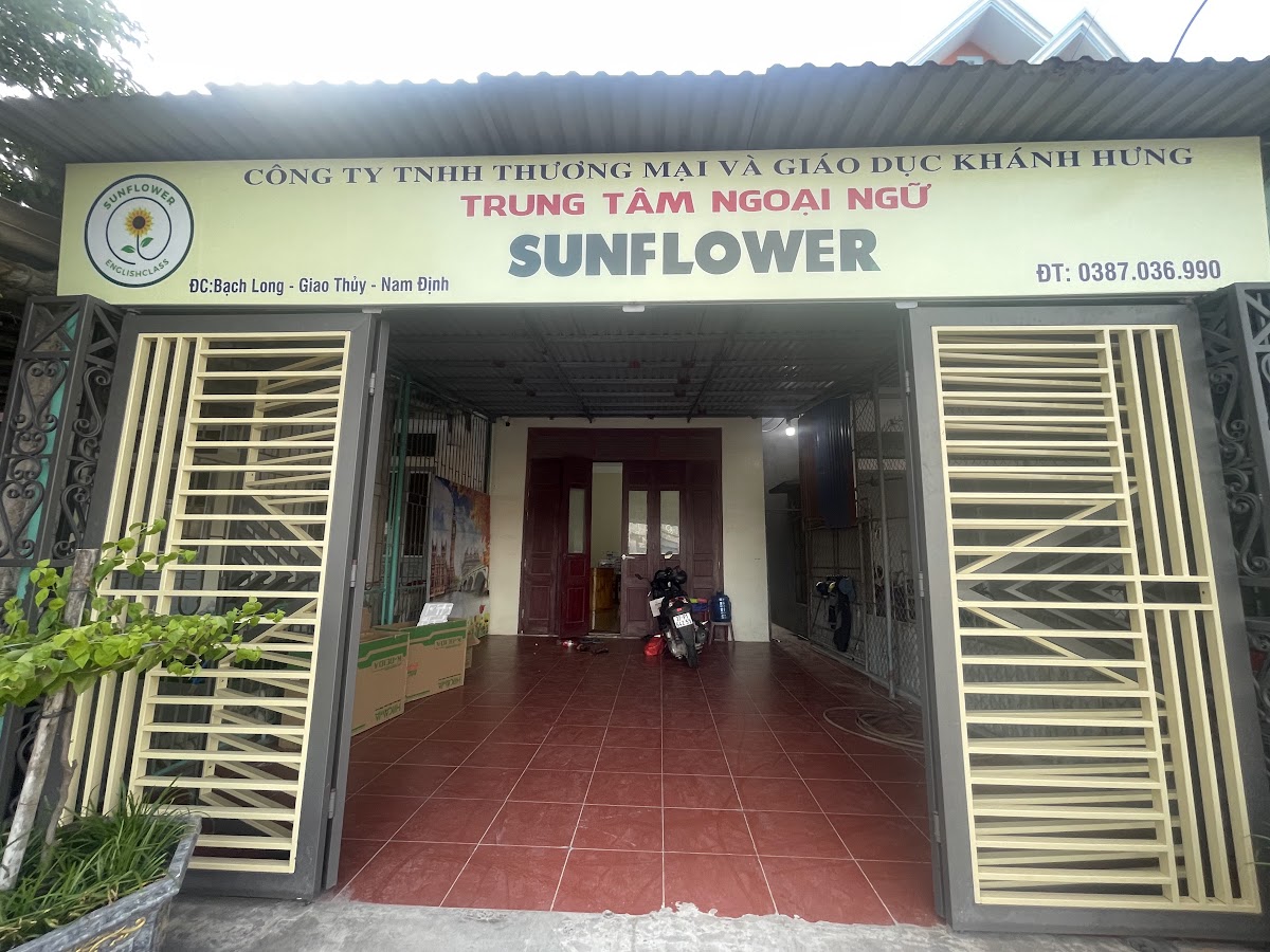 Ảnh Sunflower 01